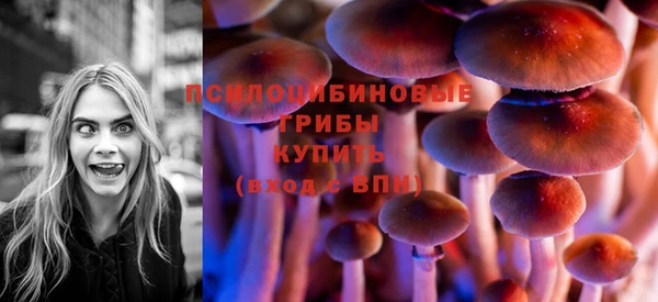 шишки Балахна