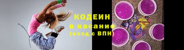 шишки Балахна