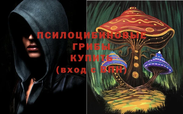 шишки Балахна