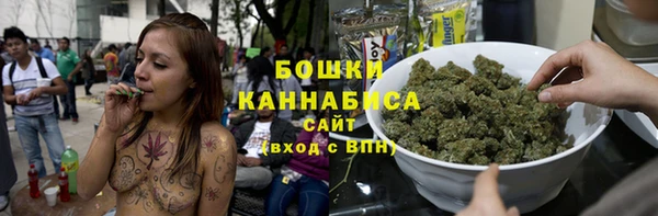 шишки Балахна
